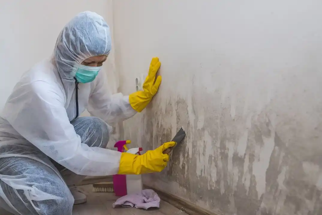 water damage restoration service Weigelstown